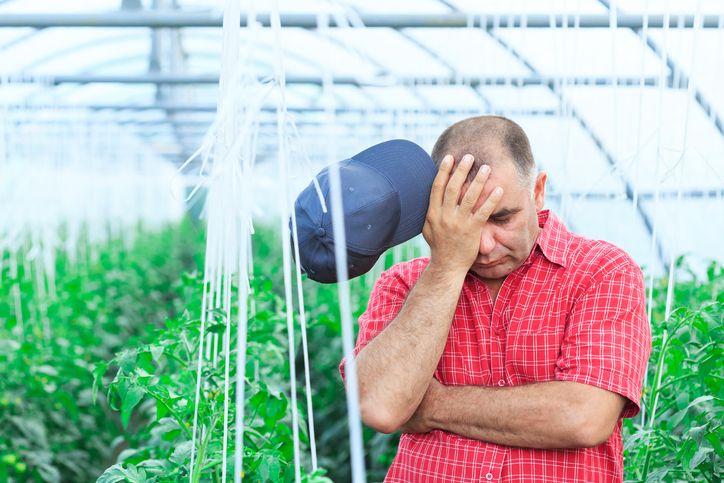 sick farm worker