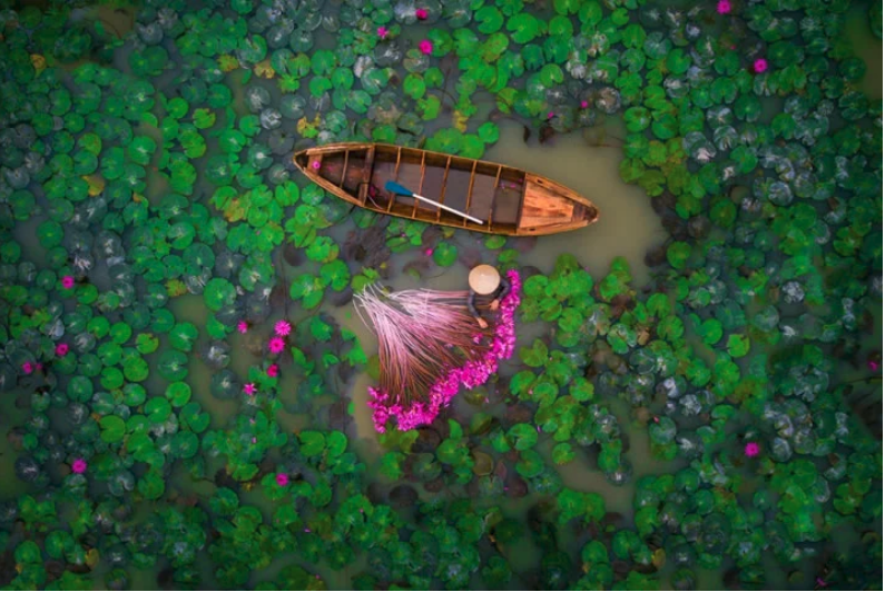 WaterLily